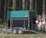 Kaltblut Pferdeanhänger: Sicherheit und Komfort für Ihre Kaltblüter
