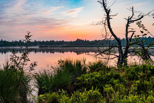 Kleine Wanderung &quot;Riedsee&quot;