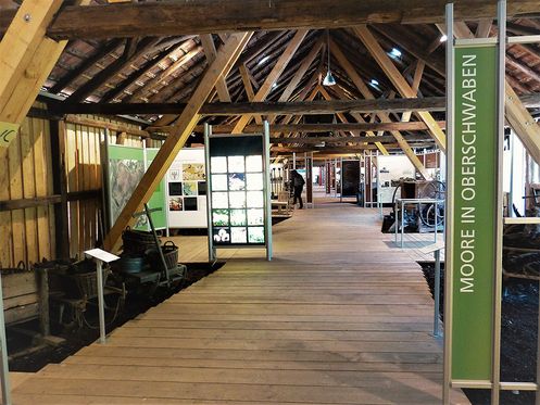 Das Wurzacher Ried: Torfbähnle, Torfmuseum und Torflehrpfad