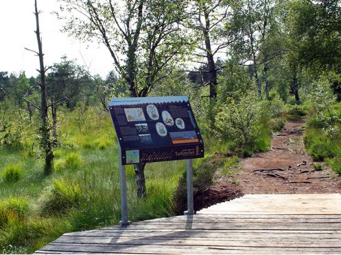 Das Wurzacher Ried: Torfbähnle, Torfmuseum und Torflehrpfad